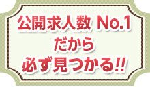 公開求人数No1だから必ず見つかる